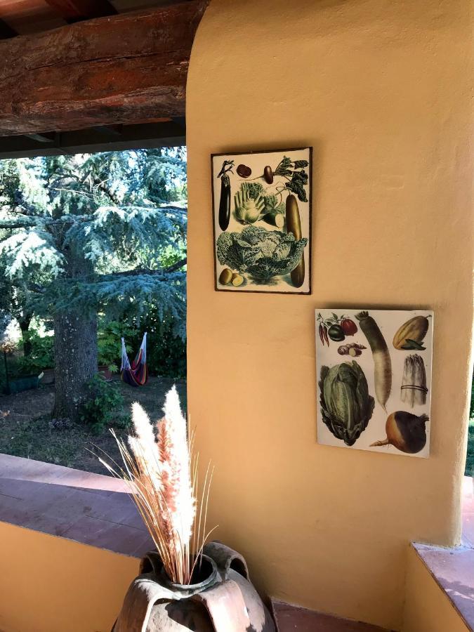 The Colours Of Chianti Holiday home